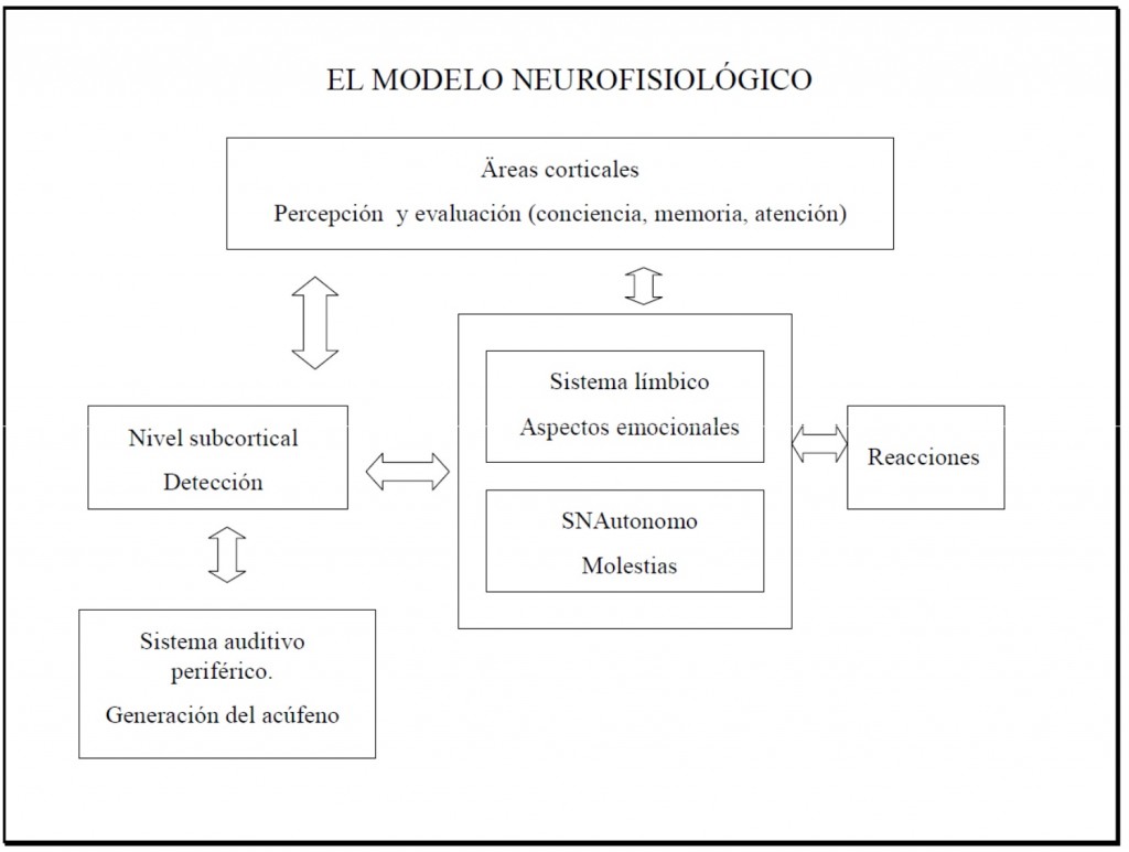 Modelo Neurofisiológico Tinnitus