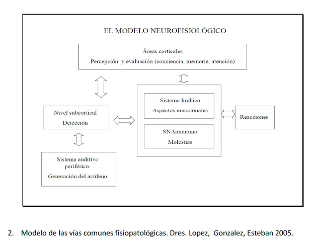 Modelo de las vías comunes fisiopatológicas. Drs. Lopez,  Gonzalez, Esteban 2005